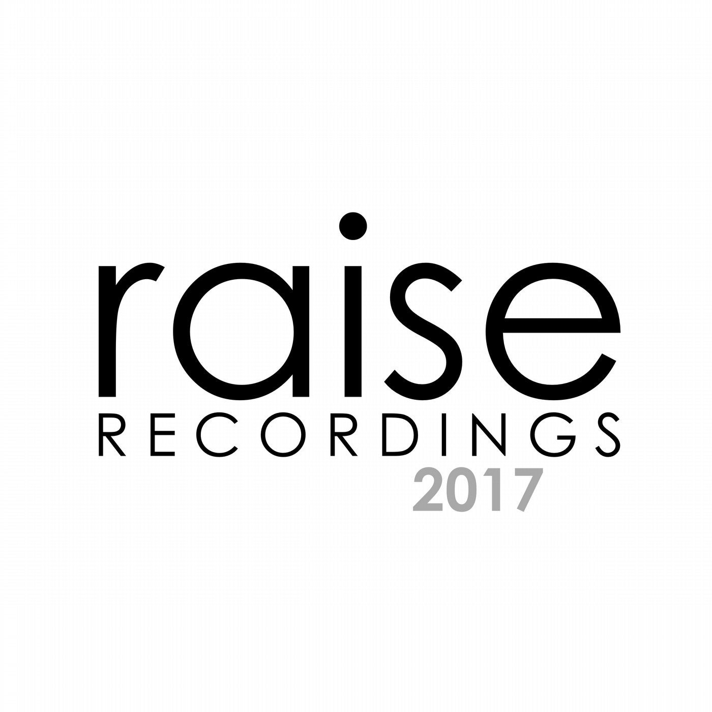RAISE 2017